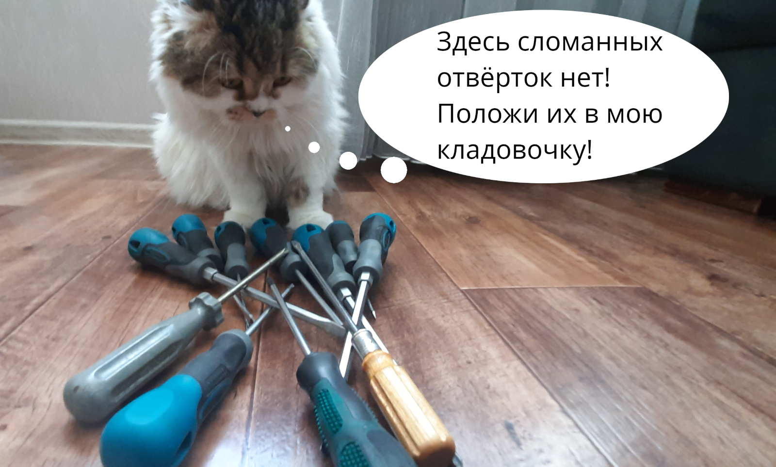 Здесь сломанных отвёрток нет! Положи их в мою кладовочку!